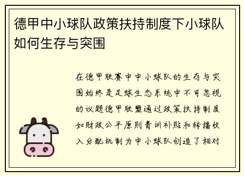 德甲中小球队政策扶持制度下小球队如何生存与突围